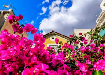Καιρός: Άνοδος της θερμοκρασίας και ηλιοφάνεια τις επόμενες ημέρες – Πού θα αγγίξει τους 34 βαθμούς ο υδράργυρος