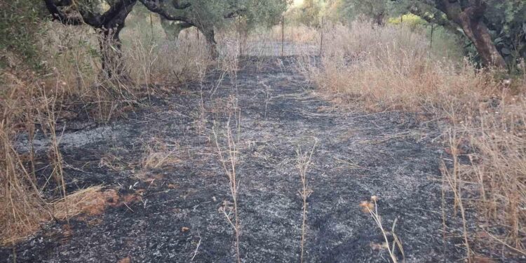 Καλαμάτα: Δύο πυρκαγιές ξέσπασαν σχεδόν ταυτόχρονα στα Μαζιά Αρφαρών – Κάηκαν 4,5 στρέμματα