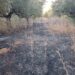 Καλαμάτα: Δύο πυρκαγιές ξέσπασαν σχεδόν ταυτόχρονα στα Μαζιά Αρφαρών – Κάηκαν 4,5 στρέμματα
