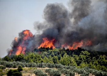 Φωτιά τώρα στη Λαυρεωτική: Καίει δασική έκταση – Επιχειρούν και εναέρια μέσα