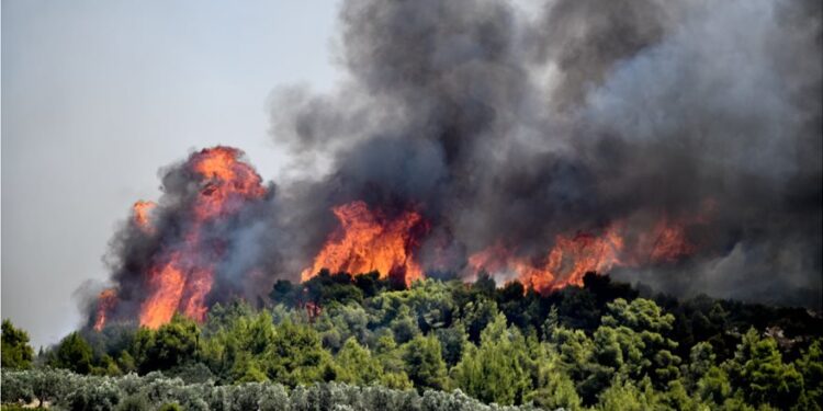 Φωτιά τώρα στη Λαυρεωτική: Καίει δασική έκταση – Επιχειρούν και εναέρια μέσα