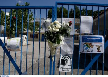 Δίκη Μάριου: Την ενοχή χωρίς ελαφρυντικό ενός εκ των δύο κατηγορουμένων ζήτησε ο εισαγγελέας - ertnews.gr