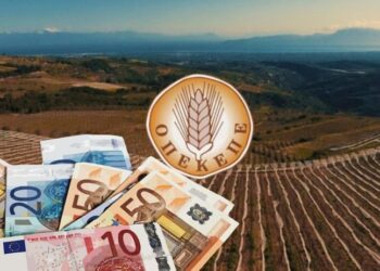 OΠEKEΠE: Ξηλώθηκε και τρίτο κύκλωμα παράνομων επιδοτήσεων με την επιχείρηση «Θερισμός»