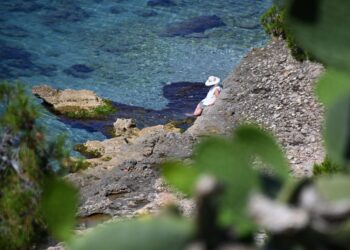 Ο καιρός βελτιώνεται σταδιακά – Επιστροφή σε καλοκαιρινές συνθήκες από την Κυριακή - ertnews.gr