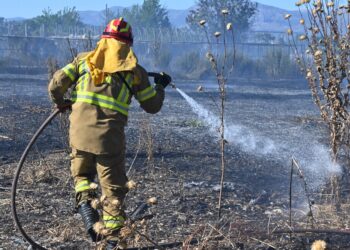 Πυροσβεστική: 83 αγροτοδασικές πυρκαγιές και επτά συλλήψεις για εμπρησμό από αμέλεια το τελευταίο 48ωρο - ertnews.gr