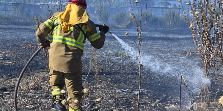Πυροσβεστική: 83 αγροτοδασικές πυρκαγιές και επτά συλλήψεις για εμπρησμό από αμέλεια το τελευταίο 48ωρο - ertnews.gr