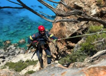 Ζάκυνθος: Πυροσβέστες σε γκρεμό για διάσωση σκύλου (βίντεο)