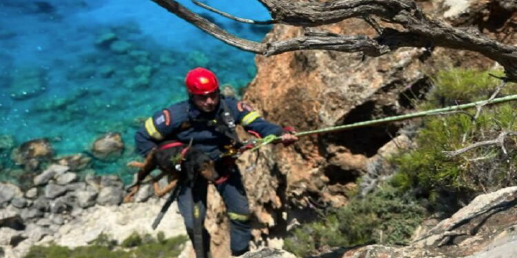 Ζάκυνθος: Πυροσβέστες σε γκρεμό για διάσωση σκύλου (βίντεο)