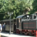 Το θρυλικό τρενάκι του Πηλίου γεμάτο επισκέπτες στη μαγευτική διαδρομή Άνω Λεχώνια – Μηλιές