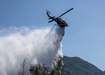 Πέντε συλλήψεις για πυρκαγιές από αμέλεια και παραβάσεις της αντιπυρικής νομοθεσίας σε Φθιώτιδα, Σέρρες, Ανατολική Αττική και Ρόδο - ertnews.gr