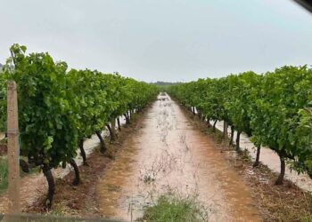 Βεγορά Αμυνταίου: Ζημιές σε καλλιέργειες από χαλάζι και έντονη βροχή – Υποχώρησε περίφραξη γηπέδου