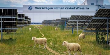 Η Volkswagen προσλαμβάνει…πρόβατα