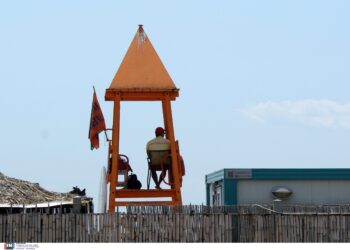 Σχεδόν 380 πνιγμοί ετησίως στην Ελλάδα: Προβληματισμό προκαλούν τα στοιχεία του ΕΟΔΥ – Όσα είπε στο ΕΡΤnews η υπεύθυνη επικοινωνίας του Safe Water Sports - ertnews.gr