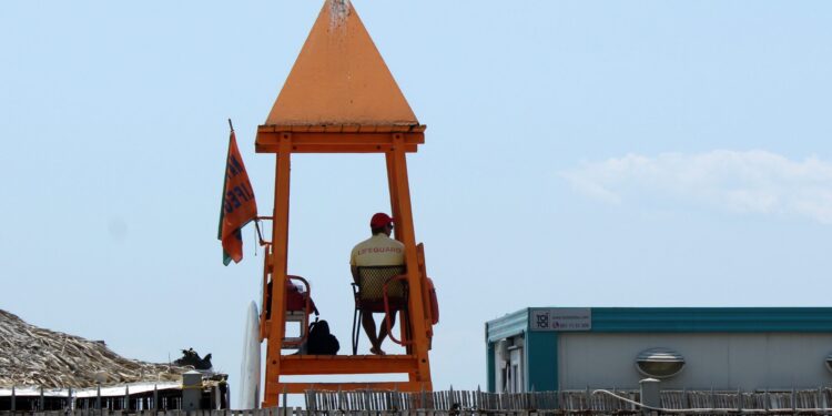 Σχεδόν 380 πνιγμοί ετησίως στην Ελλάδα: Προβληματισμό προκαλούν τα στοιχεία του ΕΟΔΥ – Όσα είπε στο ΕΡΤnews η υπεύθυνη επικοινωνίας του Safe Water Sports - ertnews.gr
