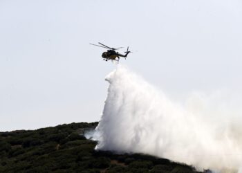 Υπό έλεγχο η πυρκαγιά στον Σταυρό Ευβοίας - ertnews.gr