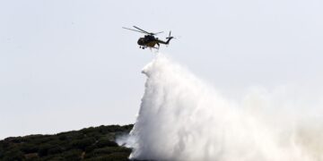 Υπό έλεγχο η πυρκαγιά στον Σταυρό Ευβοίας - ertnews.gr