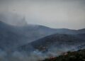 Αρτοποιός στο ΕΡΤnews για τη φωτιά στην Πάρο: Δεν υπάρχει ενεργό μέτωπο, αλλά δεν εφησυχάζουμε - Ανησυχία για τους ισχυρούς ανέμους και τις αναζωπυρώσεις - ertnews.gr