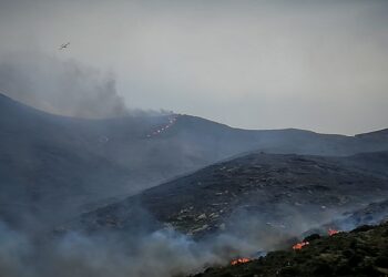 Αρτοποιός στο ΕΡΤnews για τη φωτιά στην Πάρο: Δεν υπάρχει ενεργό μέτωπο, αλλά δεν εφησυχάζουμε - Ανησυχία για τους ισχυρούς ανέμους και τις αναζωπυρώσεις - ertnews.gr