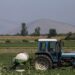 ΥΠΑΑΤ-ΑΑΔΕ: Παράταση υποβολής δηλώσεων πρώτης φάσης έως τις 31 Ιουλίου για τις αιτήσεις ενίσχυσης αγοράς λιπασμάτων - ertnews.gr