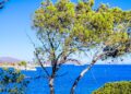 Καιρός: Με ήπιες θερμοκρασίες συνεχίζεται ο Ιούλιος, τοπικές καταιγίδες σήμερα, ενισχύονται οι άνεμοι την Κυριακή - Η πρόγνωση της Ν. Ζιακοπούλου - ertnews.gr