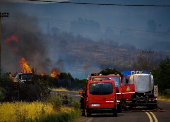 Πολύ υψηλός κίνδυνος πυρκαγιάς την Πέμπτη (30/7) σε Αττική και άλλες 5 περιφέρειες - Σε επιφυλακή η Πολιτική Προστασία - ertnews.gr