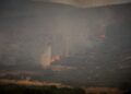Οριοθετήθηκε η φωτιά στην Παλλήνη - Τεράστια η κινητοποίηση της Πυροσβεστικής - ertnews.gr
