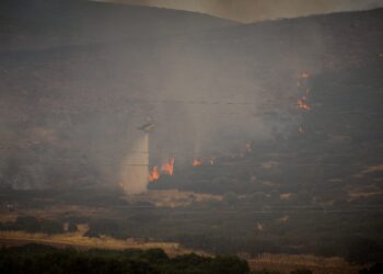 Οριοθετήθηκε η φωτιά στην Παλλήνη - Τεράστια η κινητοποίηση της Πυροσβεστικής - ertnews.gr