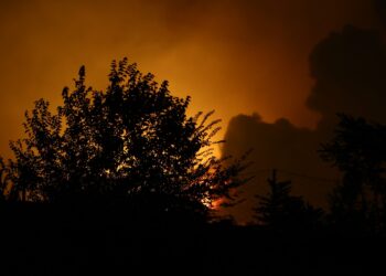 Υπό έλεγχο η φωτιά στην Πάρνηθα - ertnews.gr
