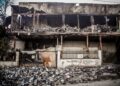 Ωραιόκαστρο: Η επόμενη ημέρα της μεγάλης φωτιάς – Αποκαλυπτικές εικόνες καταστροφής - ertnews.gr