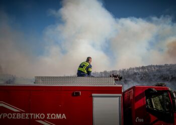 Πυρκαγιά στα Βορίζια Ηρακλείου - Ήχησε το 112 - ertnews.gr
