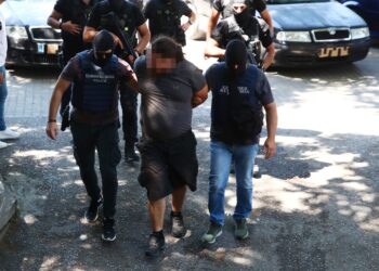 «Το έμαθα από την τηλεόραση»: Αρνείται κάθε εμπλοκή με τη φονική εμπρηστική επίθεση ο 24χρονος - ertnews.gr