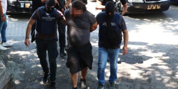 «Το έμαθα από την τηλεόραση»: Αρνείται κάθε εμπλοκή με τη φονική εμπρηστική επίθεση ο 24χρονος - ertnews.gr