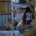 Συνεχίζεται το θρίλερ με τη σορό σε βαλίτσα στην Κυψέλη: Έρευνες για την ταυτοποίηση της γυναίκας και τις συνθήκες θανάτου της - ertnews.gr