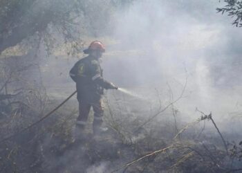 Καλαμάτα: Άμεσα υπό έλεγχο δύο πυρκαγιές σε Αριοχώρι και Ακοβίτικα