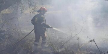 Καλαμάτα: Άμεσα υπό έλεγχο δύο πυρκαγιές σε Αριοχώρι και Ακοβίτικα
