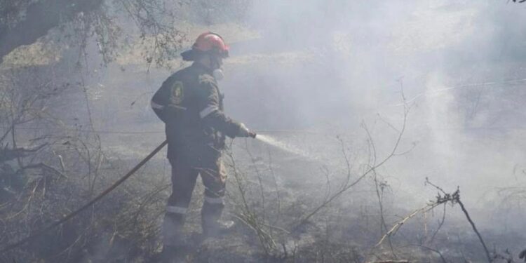 Καλαμάτα: Άμεσα υπό έλεγχο δύο πυρκαγιές σε Αριοχώρι και Ακοβίτικα