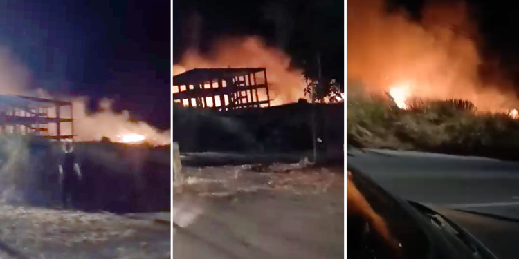Υπό μερικό έλεγχο η πυρκαγιά σε δασική έκταση στη Σάμο