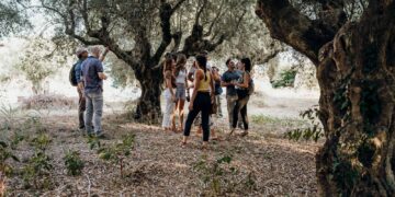 Κεντρικός ο ρόλος της Κρήτης στην ευρωπαϊκή Πολιτιστική Διαδρομή της Ελιάς