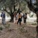 Κεντρικός ο ρόλος της Κρήτης στην ευρωπαϊκή Πολιτιστική Διαδρομή της Ελιάς