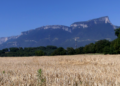 Η κλιματική κρίση επιδεινώνει την ακραία ξηρασία στην Ευρώπη