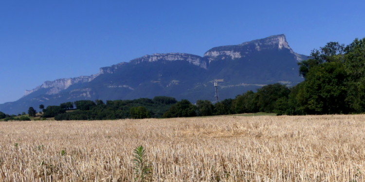 Η κλιματική κρίση επιδεινώνει την ακραία ξηρασία στην Ευρώπη