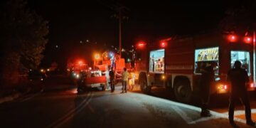 Νεοχώρι Πηλίου: Οριοθετήθηκε η φωτιά σε δασική έκταση μετά τη μεγάλη κινητοποίηση της Πυροσβεστικής
