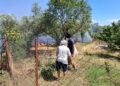 Πυρκαγιά σε αγροτοδασική έκταση στην Οινούσσα Σερρών – Μήνυμα 112 στους κατοίκους