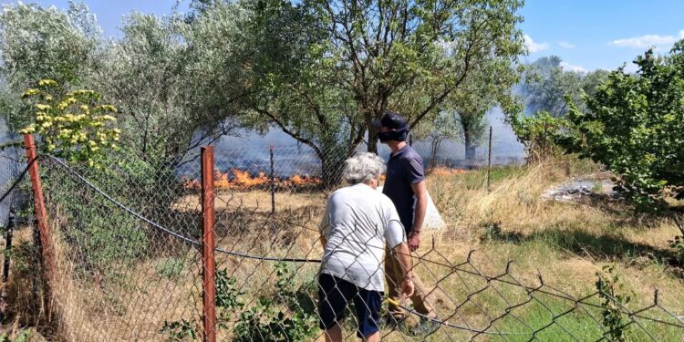 Πυρκαγιά σε αγροτοδασική έκταση στην Οινούσσα Σερρών – Μήνυμα 112 στους κατοίκους