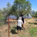 Πυρκαγιά σε αγροτοδασική έκταση στην Οινούσσα Σερρών – Μήνυμα 112 στους κατοίκους