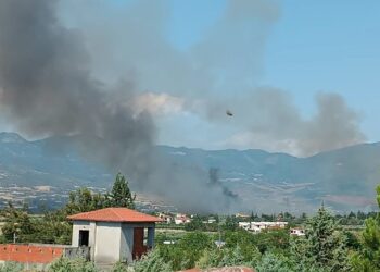 Τρεις νέες συλλήψεις για εμπρησμούς από πρόθεση σε Άνοιξη Αττικής, λόφο Πνύκας Αθήνα και Ηράκλειο Κρήτης