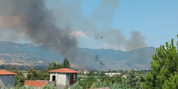 Τρεις νέες συλλήψεις για εμπρησμούς από πρόθεση σε Άνοιξη Αττικής, λόφο Πνύκας Αθήνα και Ηράκλειο Κρήτης