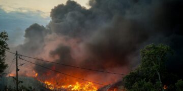 Πρόεδρος Πνευμονολόγων στο ΕΡΤnews: Τα αιωρούμενα σωματίδια επηρεάζουν ακόμη και περιοχές χιλιόμετρα μακριά από τη φωτιά - ertnews.gr