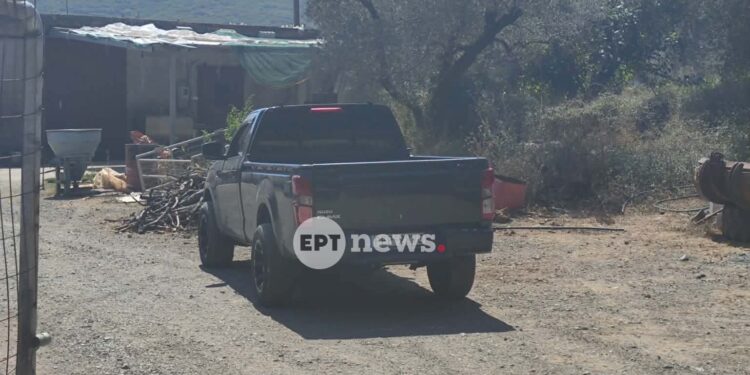 Βίντεο-ντοκουμέντο από την επίθεση στον κτηνοτρόφο στο Ρέθυμνο – Οι κινήσεις του δράστη πριν και μετά το χτύπημα
