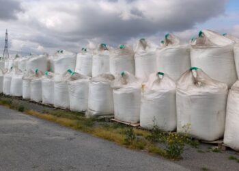 Τελωνεία: Από ναρκωτικά μέχρι απολιθώματα και παπαγάλους – Τα «λαβράκια» που εντόπισαν οι έλεγχοι της ΑΑΔΕ το πρώτο εξάμηνο του 2026